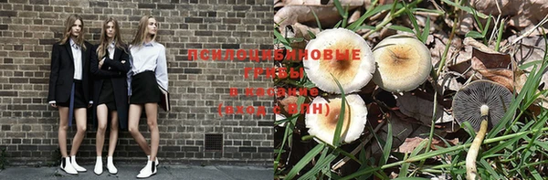 тгк Заводоуковск