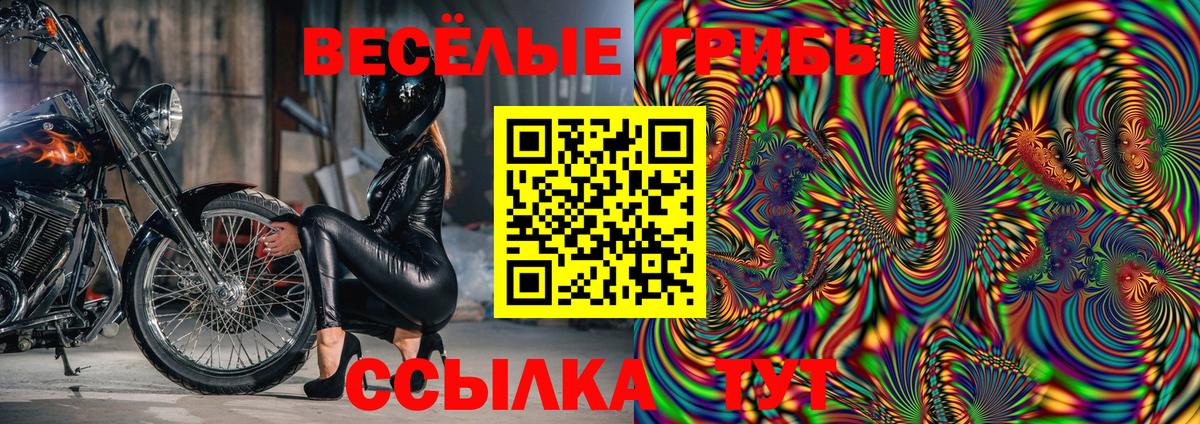 Псилоцибиновые грибы ЛСД  Вход с VPN  Галлюциногенные грибы ЛСД  Изобильный 