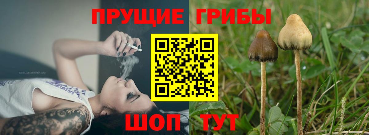 Галлюциногенные грибы мухоморы Изобильный