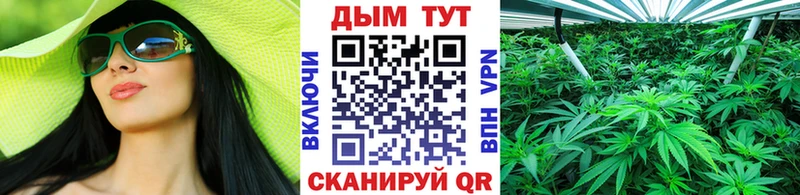 Бошки Шишки White Widow магазин продажи Изобильный
